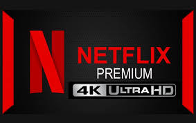 Netflix Premium 6 Month