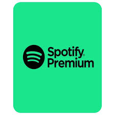 Spotify Premium 1 Years
